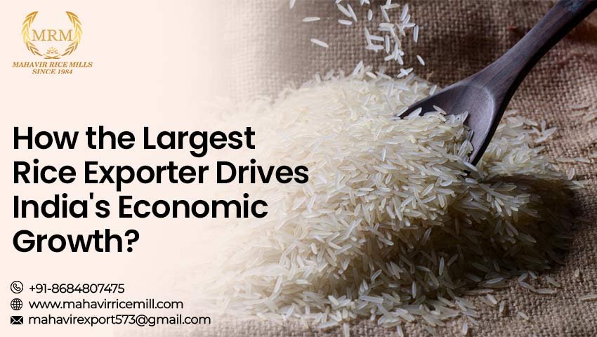 How the Largest Rice Exporter Drives India Economic Growth