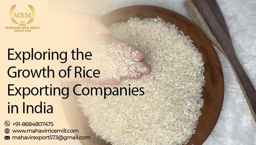  Rice Exporting Companies in India