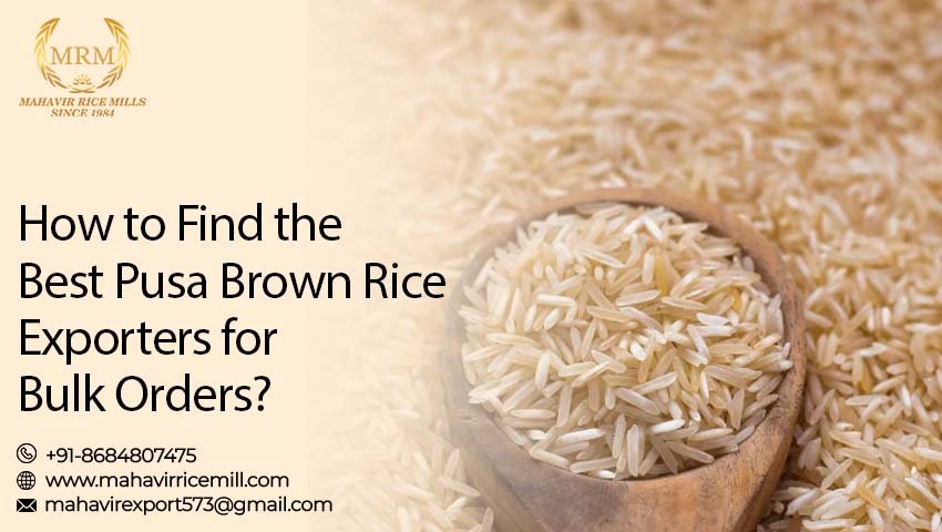 Best Pusa Brown Rice Exporters