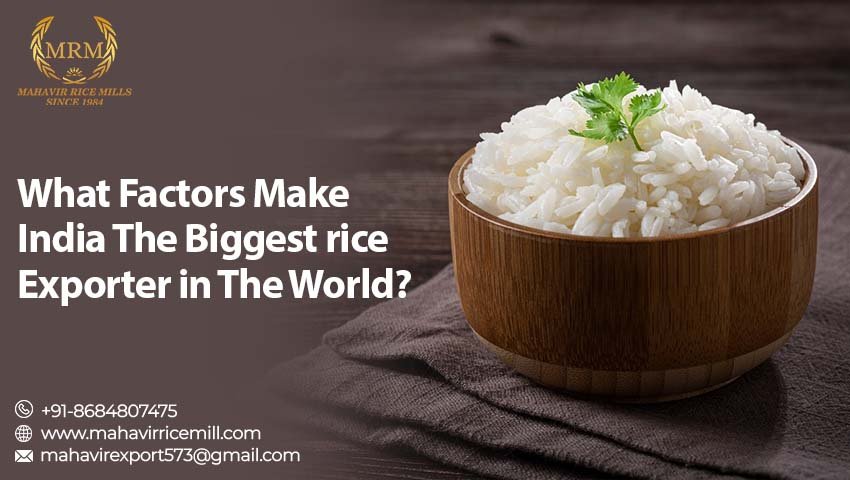 Biggest Rice Exporter In The World